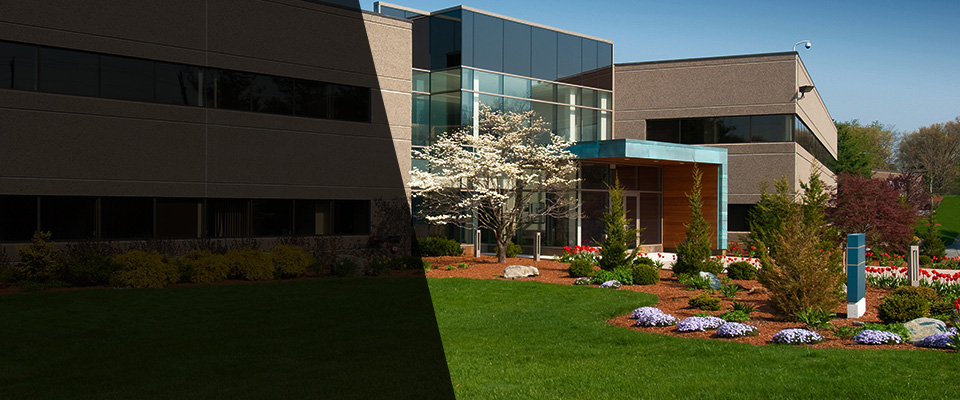 Oak Park Landscapers