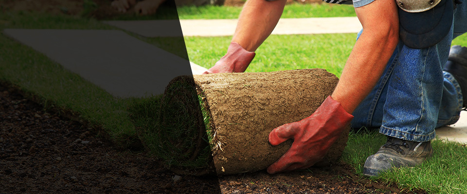 Oak Park Landscapers
